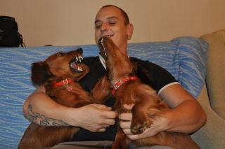 NADIM jamniki Kollapsar